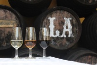 Winery Tour from Seville with Horse-Riding Option