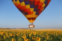 Seville Hot-Air Balloon Ride with Champagne Breakfast