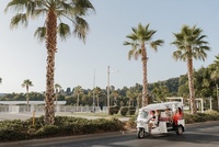 Private 90-minute tour of the highlights of Malaga