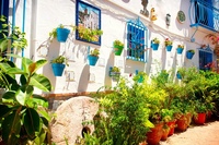 2 Hour Private Walking Tour in Torremolinos