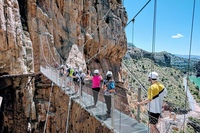 Malaga to Caminito del Rey Private Tour
