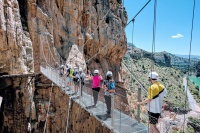 Malaga to Caminito del Rey Private Tour
