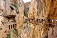 Malaga to Caminito del Rey with Transfers
