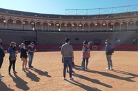 Visit to the Plaza de Toros de Sevilla with direct entrance