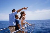 Benalmadena Dolphin Watching Boat Tour