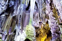 Private Tour in Gibraltar and in Marbella