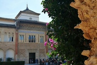Guided Tour of the Mosque-Cathedral of Córdoba