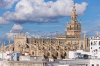  Private Walking Tour Alcazar and Cathedral in Sevilla